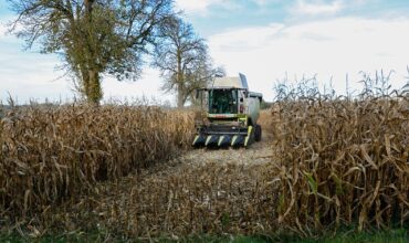 Czy będzie młody rolnik 2025