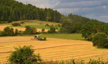 Czy w 2025 będzie Rozwój małych gospodarstw