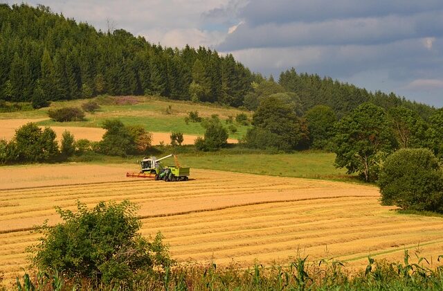 Czy w 2025 będzie Rozwój małych gospodarstw