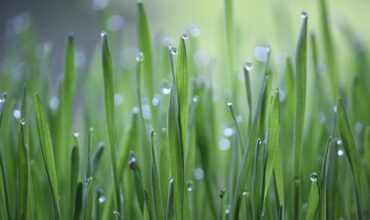 Jakie warunki trzeba spełnić Aby dostać dofinansowanie Rozwój małych gospodarstw