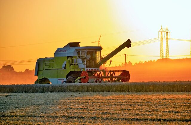 Młody rolnik 2025 dla kogo dotacja