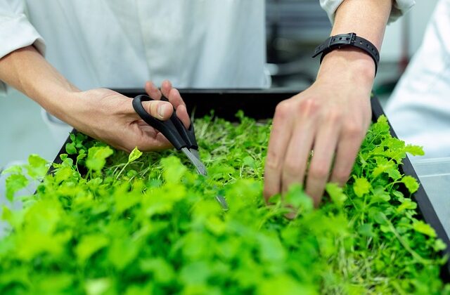 Rozwój Małych Gospodarstw 2025 Zobowiązania