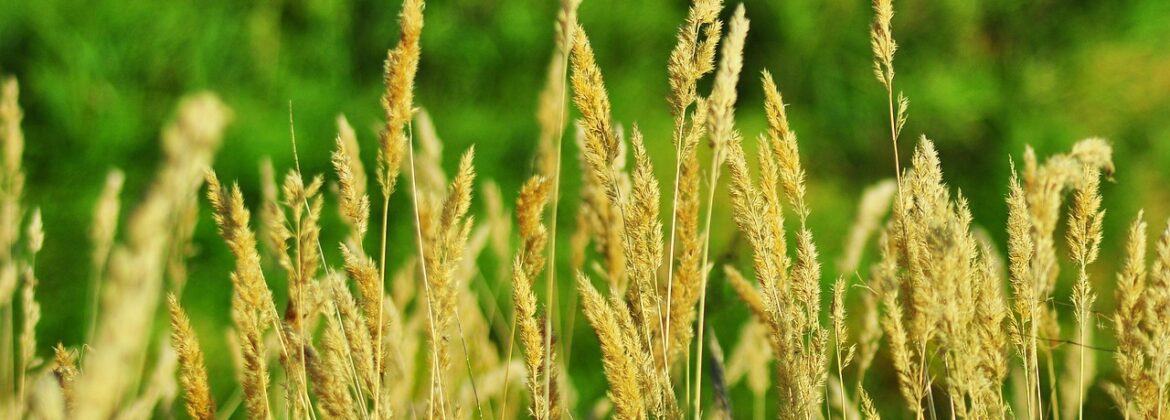 Inwestycje OZE rolnik 2025 obszar B