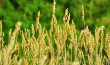 Inwestycje OZE rolnik 2025 obszar B