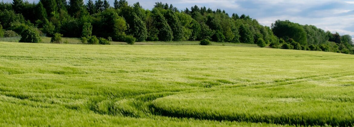 Inwestycje w gospodarstwach rolnych w zakresie OZE 2025 informacje podstawowe