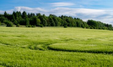 Inwestycje w gospodarstwach rolnych w zakresie OZE 2025 informacje podstawowe