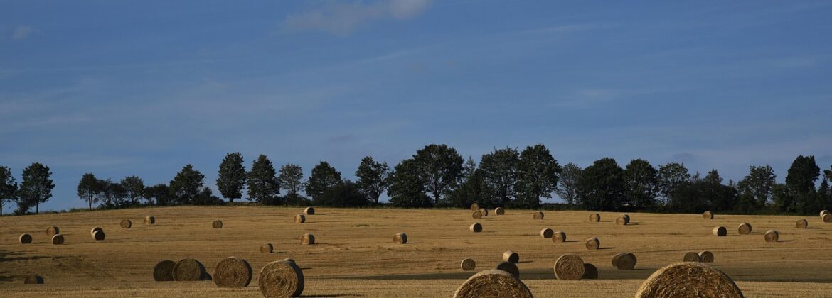 Inwestycje w gospodarstwach rolnych w zakresie OZE 2025 na co