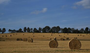 Inwestycje w gospodarstwach rolnych w zakresie OZE 2025 na co