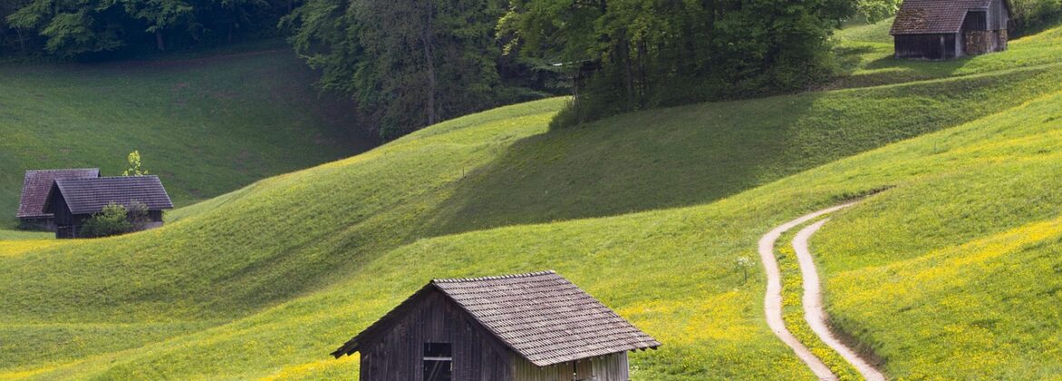 Inwestycje w gospodarstwach rolnych w zakresie OZE 2025 termin