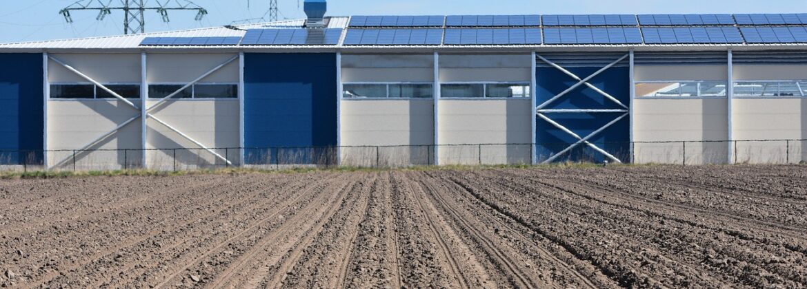 Inwestycje w gospodarstwach rolnych w zakresie OZE 2025 wniosek