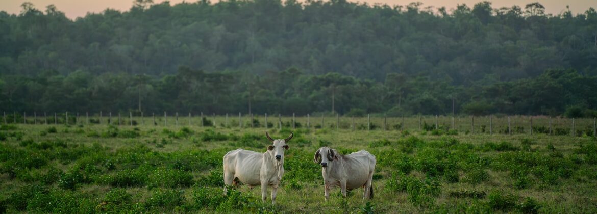 Rozwój małych gospodarstw 2025 najważniejsze informacje