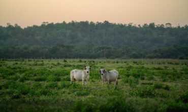 Rozwój małych gospodarstw 2025 najważniejsze informacje
