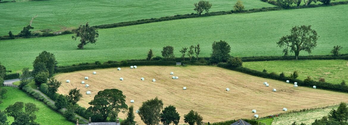 Rozwój małych gospodarstw 2025 składanie wniosków