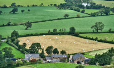 Rozwój małych gospodarstw 2025 składanie wniosków