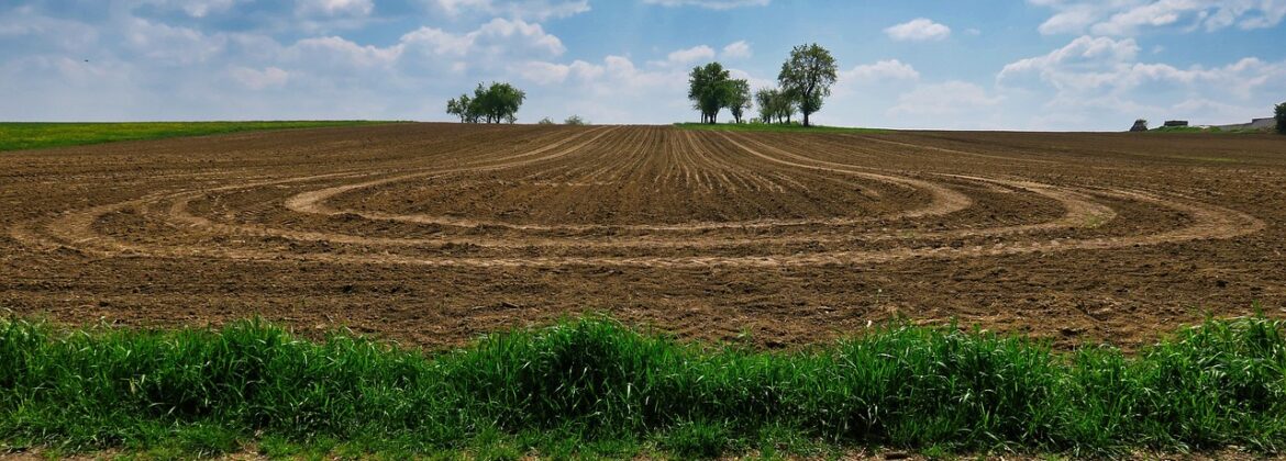 Rozwój małych gospodarstw 2025 terminy