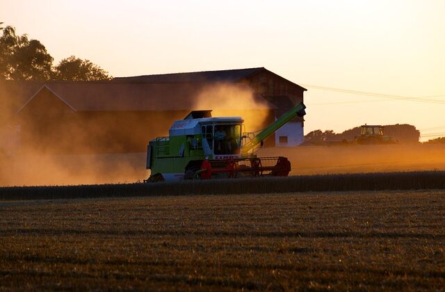 Młody rolnik 2026 ile trzeba mieć ziemi